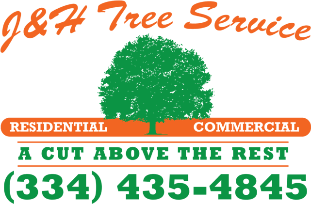 Contact Us - Beltservice Corporation (640x428), Png Download