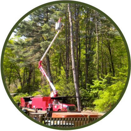A Cut Above Tree Service Llc - Connecticut (420x420), Png Download
