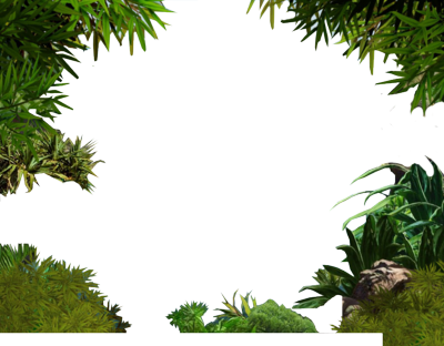 Jungle Border Png Transparent Image - Jungle Transparent (400x312), Png Download