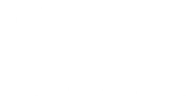 1245 - A Notch Above Tree & Lawn Care (640x328), Png Download