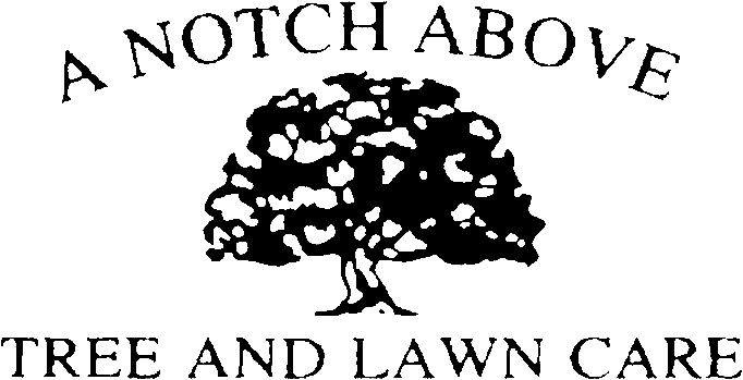 Logo (682x349), Png Download