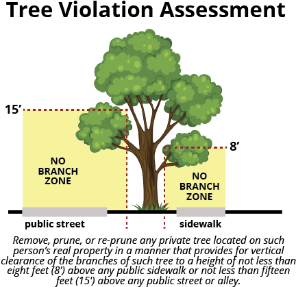 Tree (467x467), Png Download