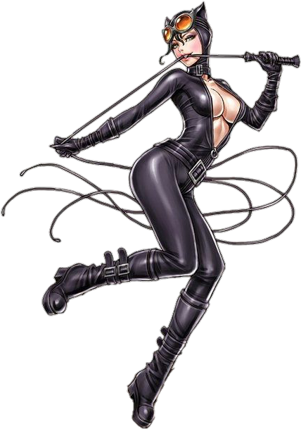 Catwoman Dc Comics Movies Cartoons - Catwoman Comic (483x720), Png Download