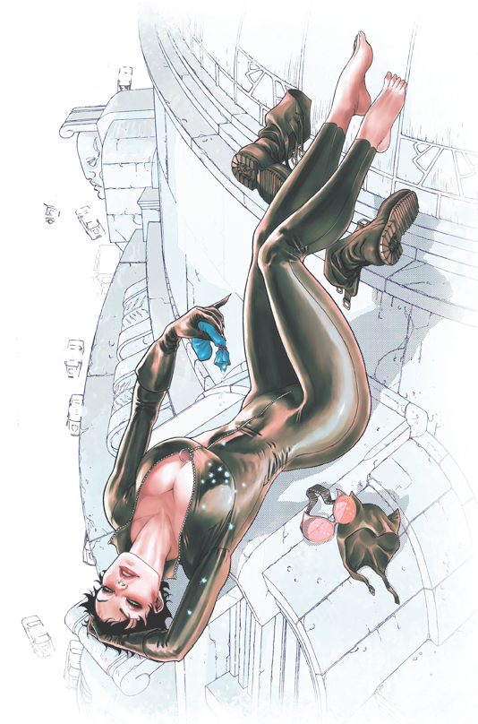 Justice League Catwoman - Catwoman Vol. 1: The Game (the New 52) (554x822), Png Download