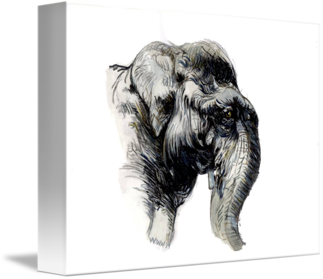 Elephant Head Watercolor By Penny Winn Graphic Black - Watercolor Painting (650x562), Png Download