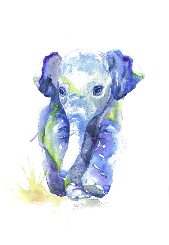 Watercolor Painting Drawing Infant Sketch - Elephant Watercolor (564x804), Png Download