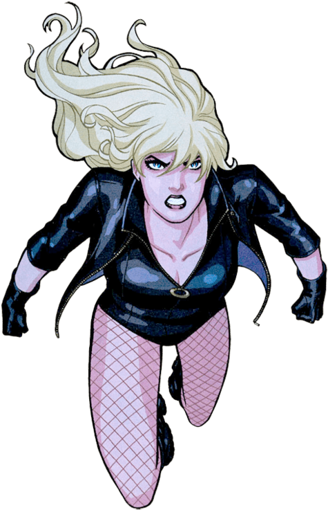Black Canary - Green Arrow Y Canario Negro (486x750), Png Download