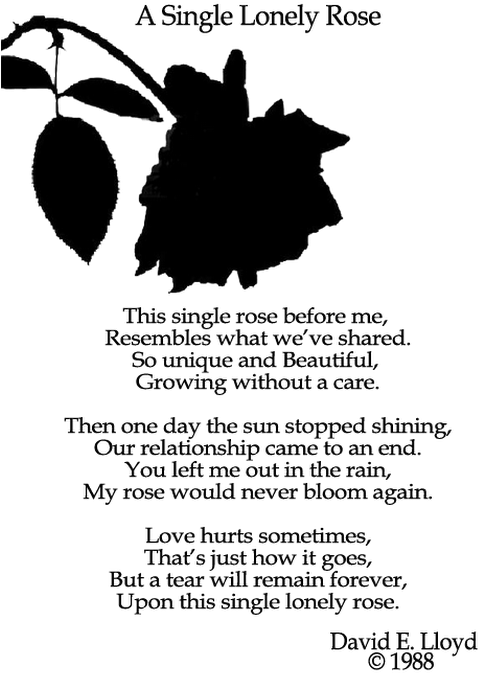 Photo - Photograph (530x751), Png Download