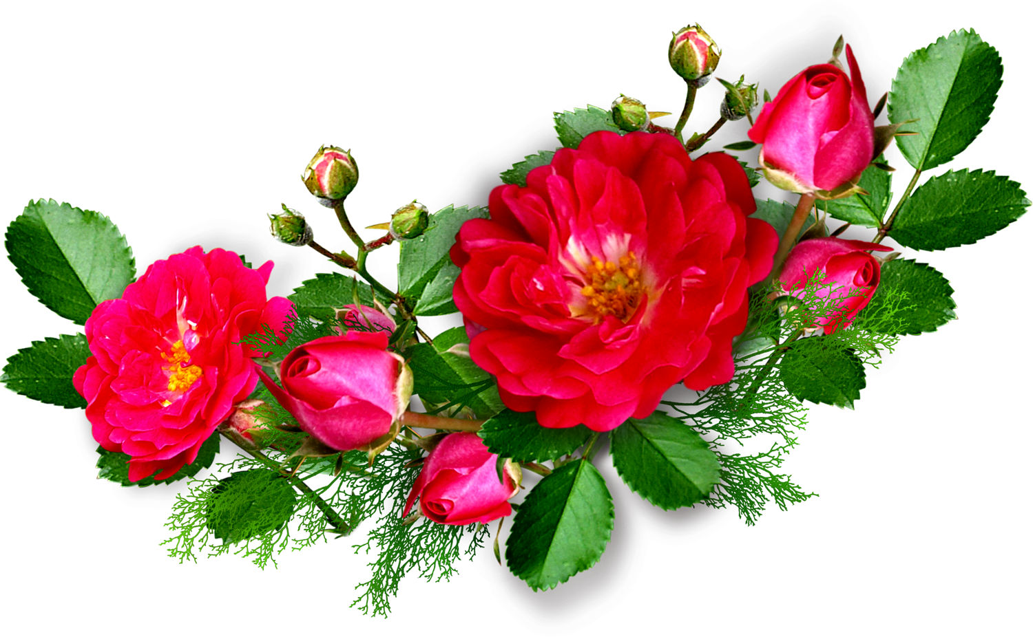 Border Flowers Png (1500x926), Png Download