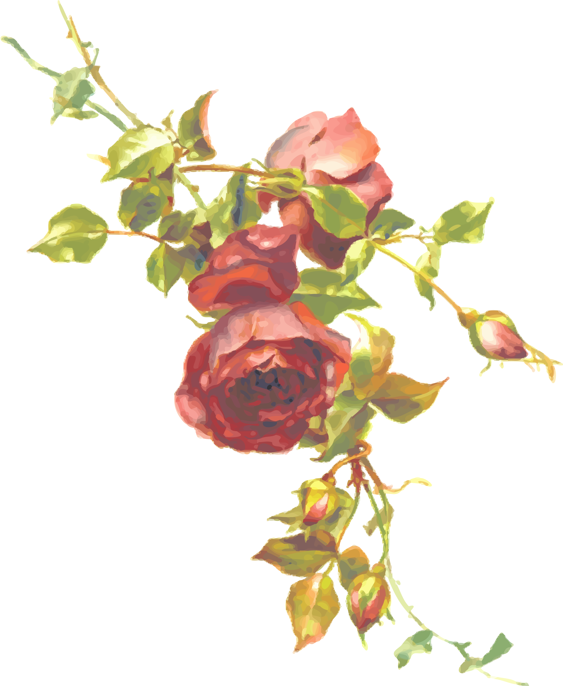 Single Red Rose Png Clipart Image - Vintage Roses (2008x2400), Png Download