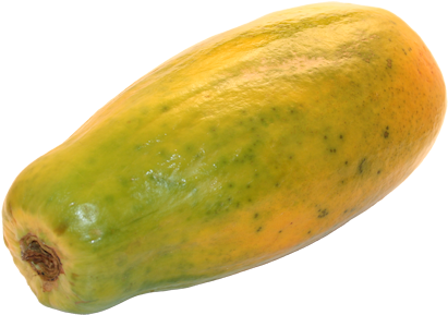 Clip Art Transparent Download Transparent Fruit Papaya - Papaya Fruit Png (450x300), Png Download