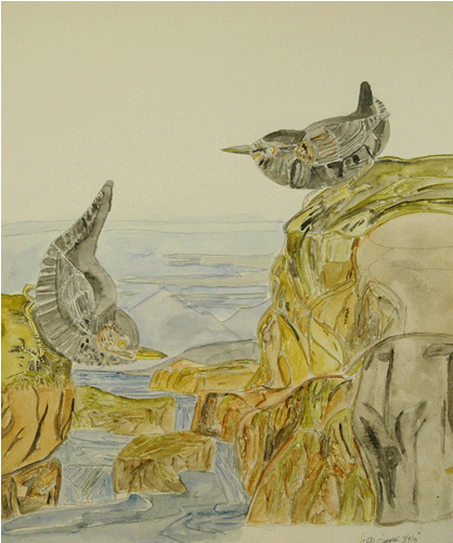 Watercolor Birds 1 - Watercolor Painting (700x500), Png Download