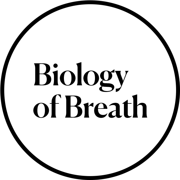 Black Sm (950x600), Png Download