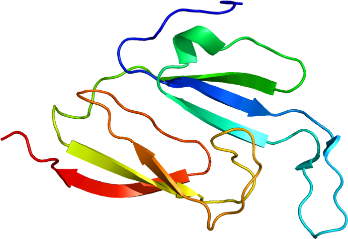 Protein Mvp Pdb 1y7x (741x526), Png Download