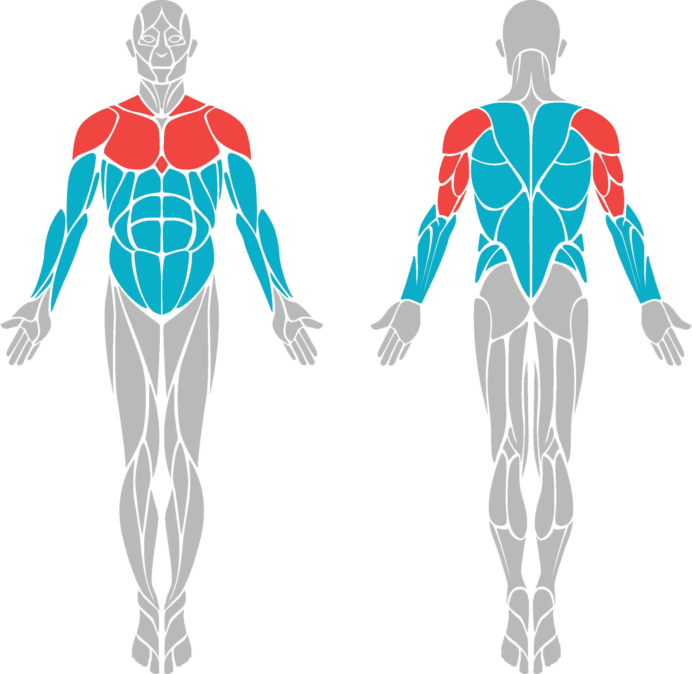 The Resistance Bench Press (2346x2286), Png Download