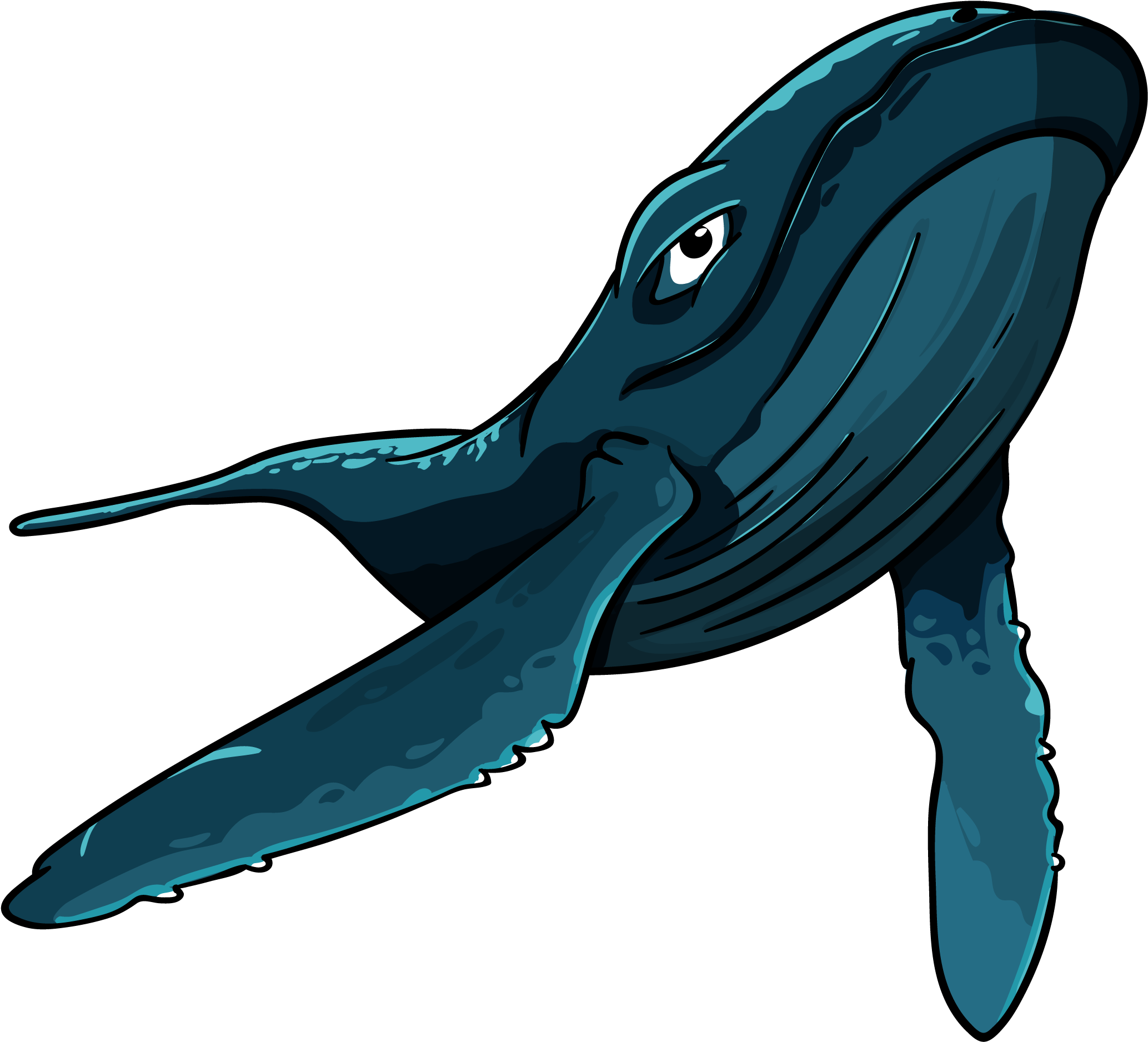 Big Blue Whale (2150x2150), Png Download