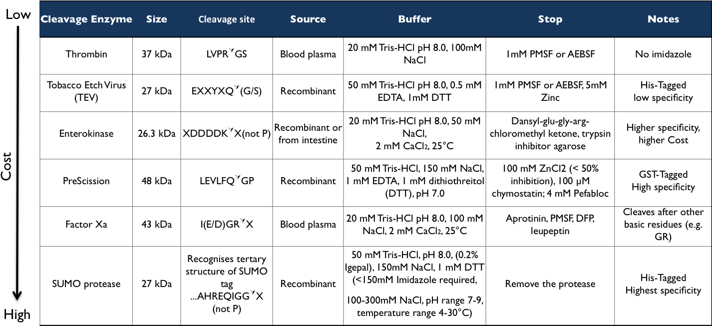 Additional Cleavage Enzymes (1474x652), Png Download