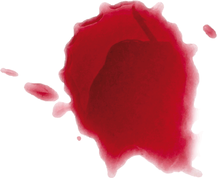 Los Vinos De Carmen Aparicio (1027x730), Png Download