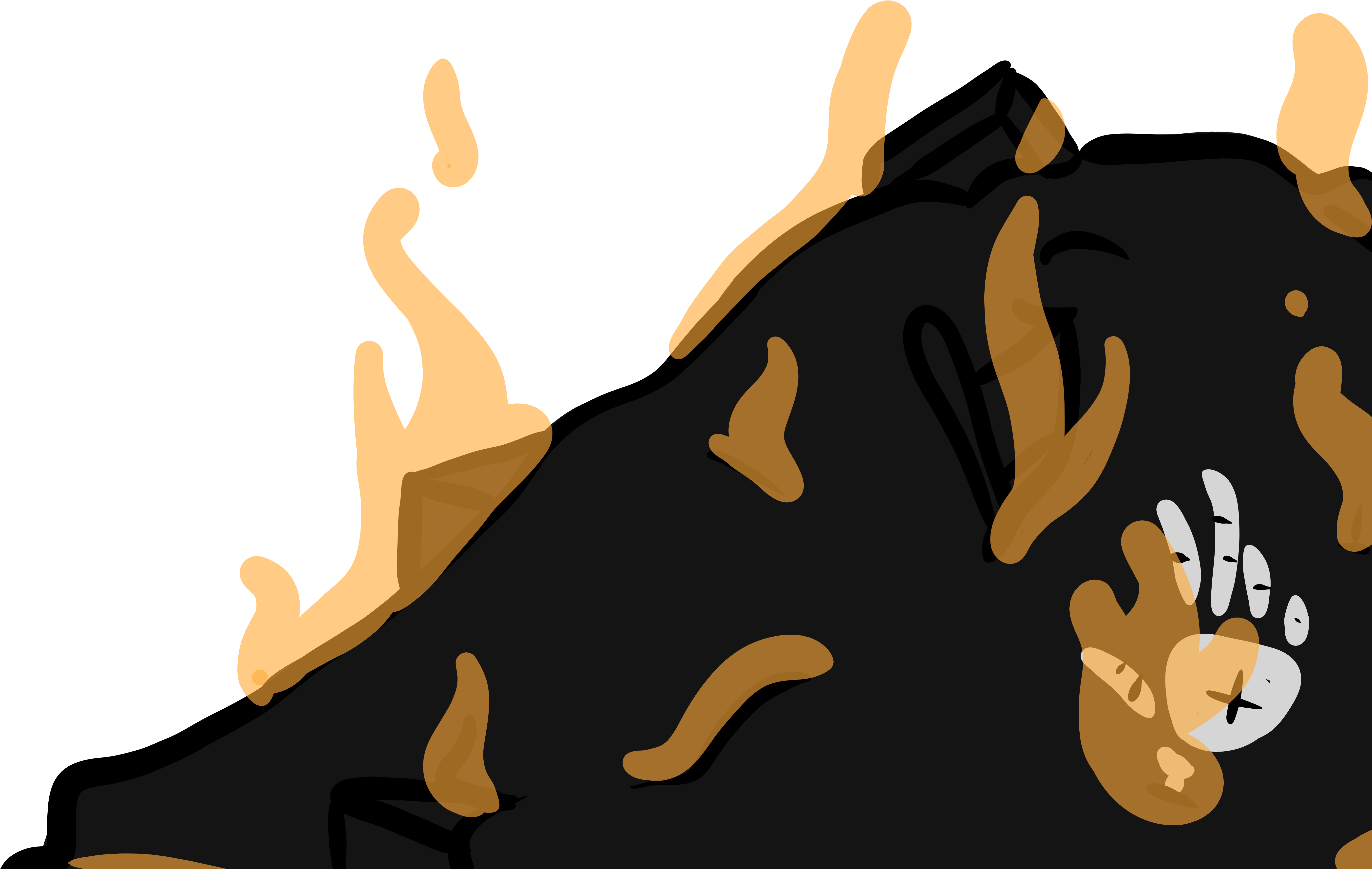 1902 (6889x6889), Png Download