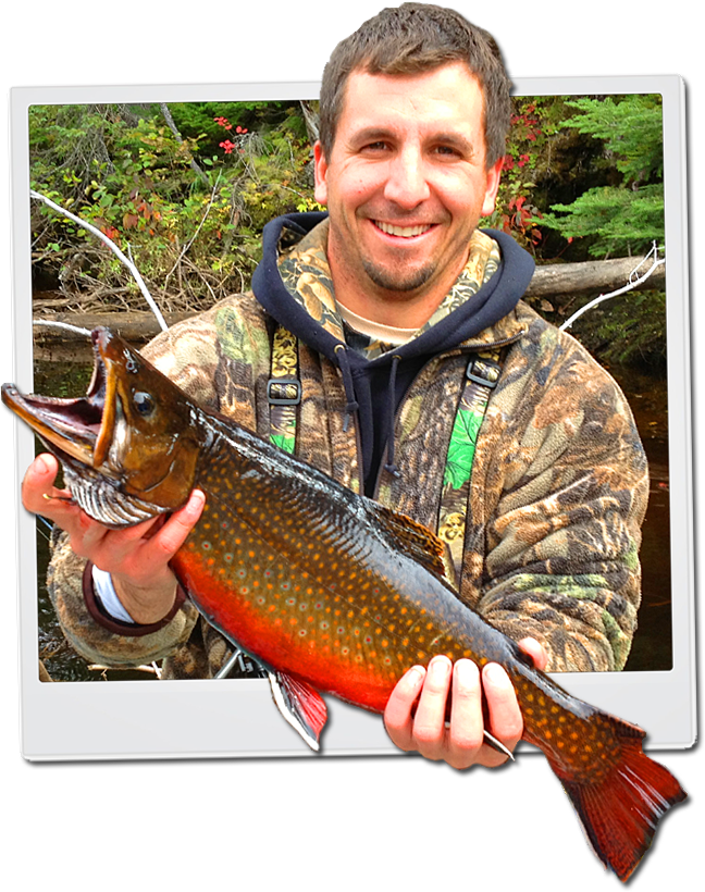 Speckled Trout Png (648x820), Png Download