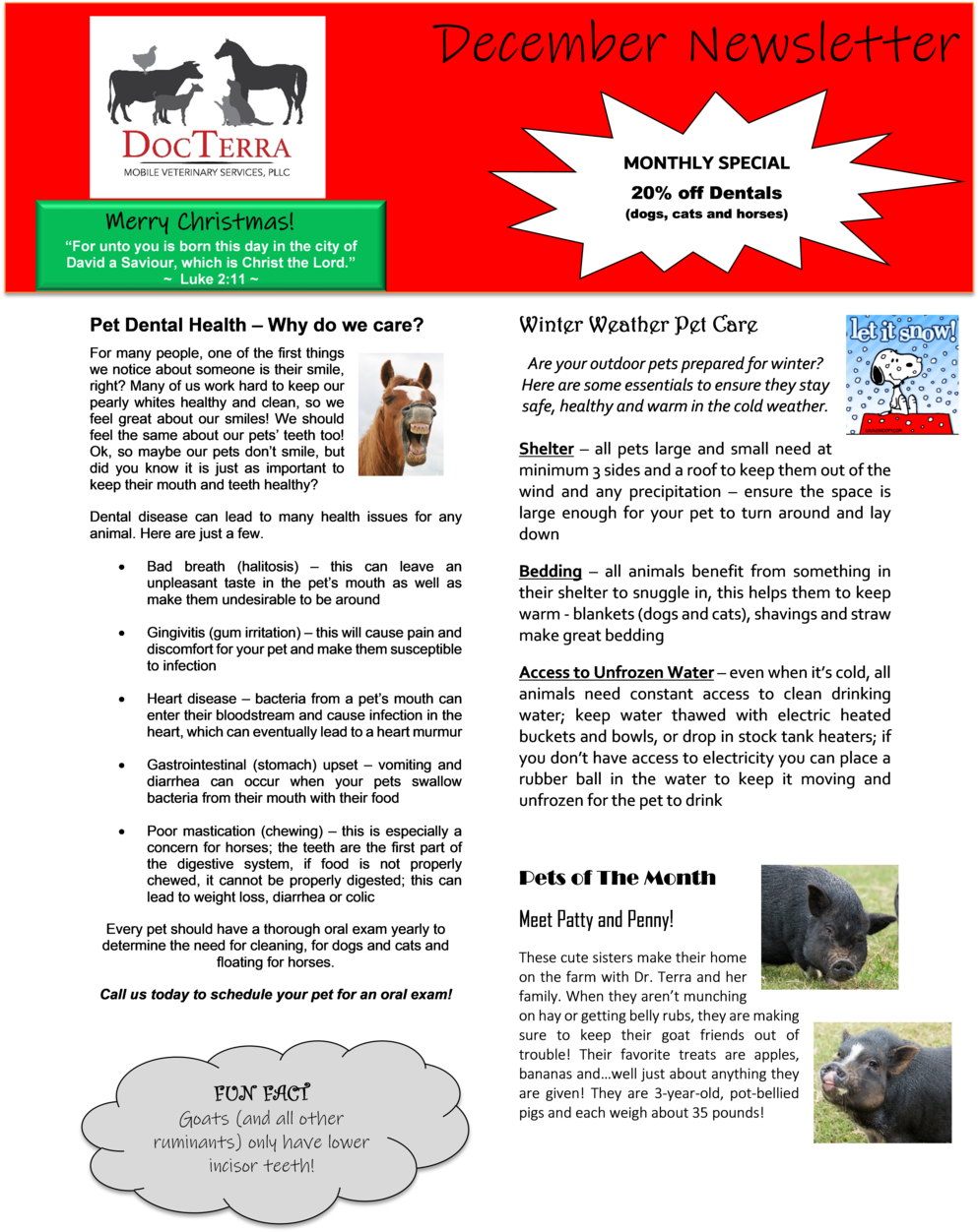 December Newsletter 2018 (1000x1260), Png Download