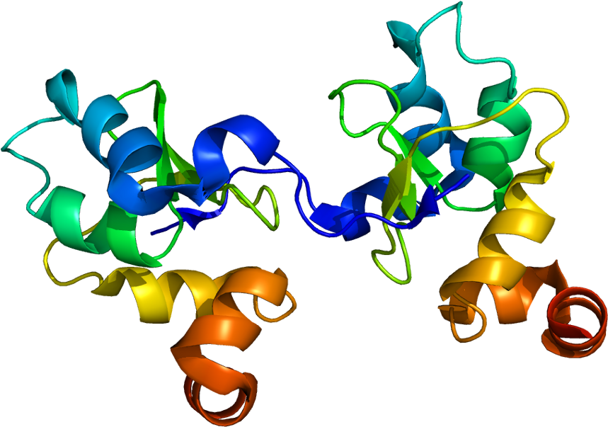 Liston Png (908x652), Png Download