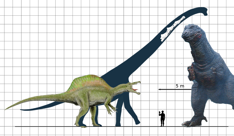 Giganotosaurus Size And Indominus Rex (800x467), Png Download