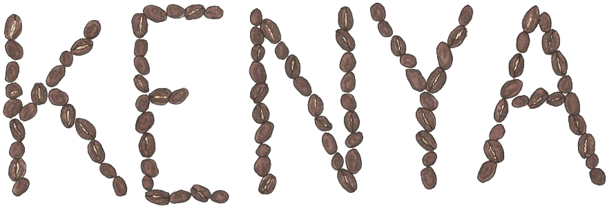 The (950x354), Png Download