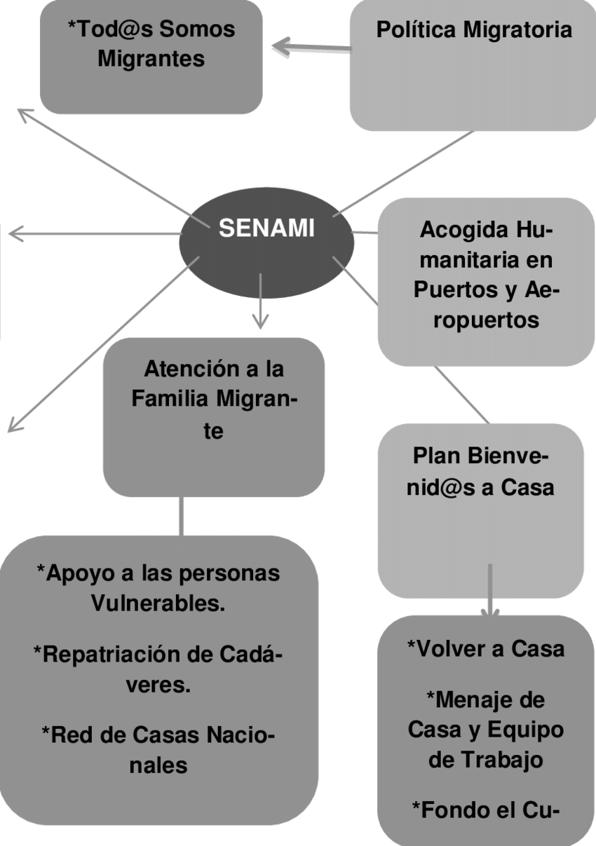 -funciones De La Senami (850x1207), Png Download