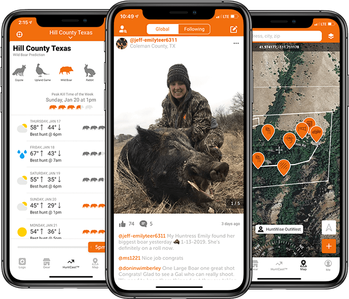 Ui Speciesboar (800x600), Png Download