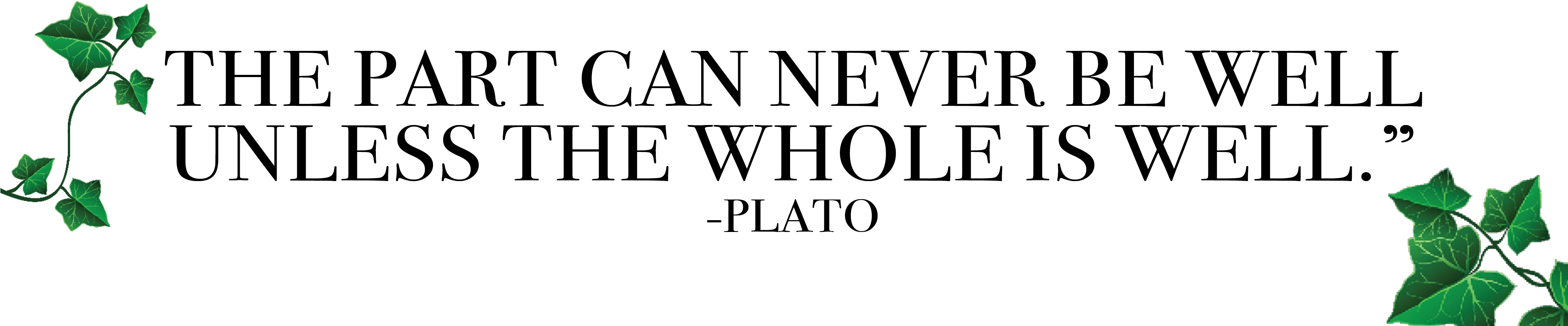 Plato Png (4250x1000), Png Download