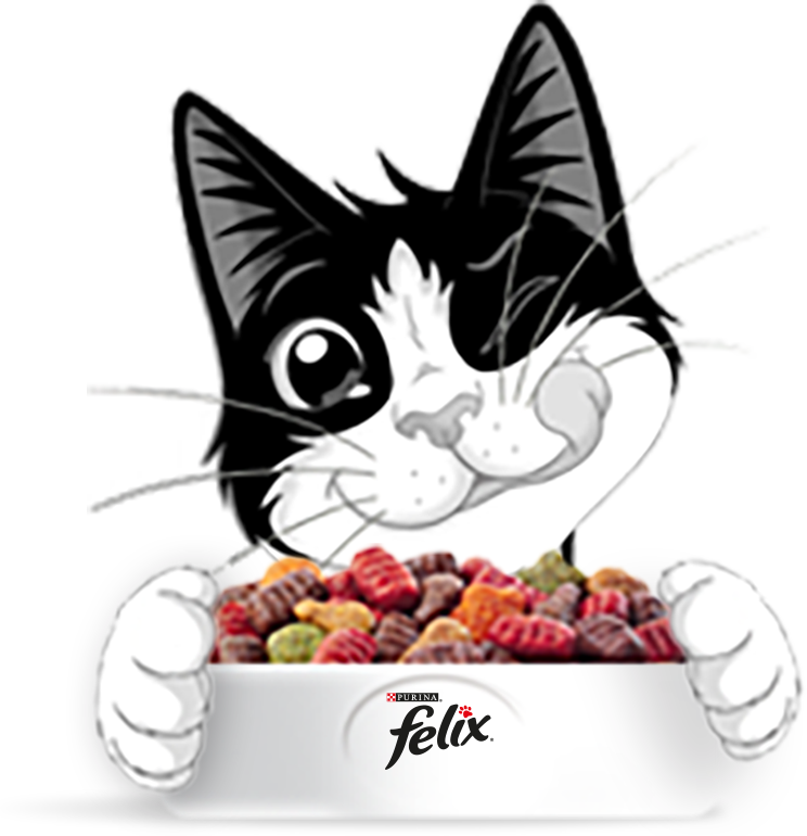 Wist Je Dat Jouw Baasje Met De Zegeltjes Op De Onweerstaanbare (744x770), Png Download