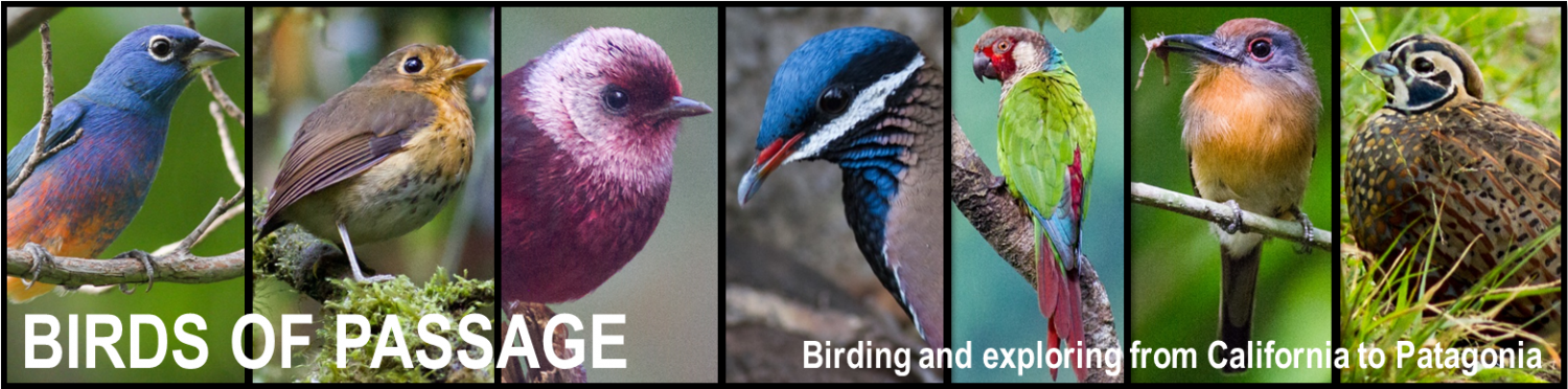 Colombia Map Png (1500x372), Png Download