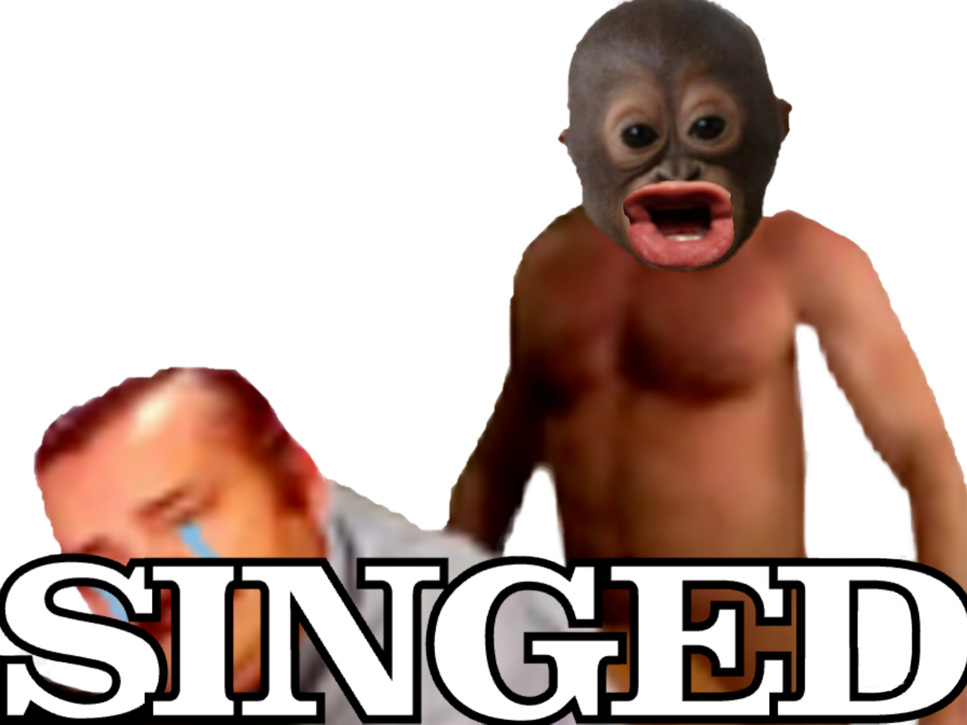 Http - //image - Noelshack - Com/fichiers/2018/04/ (1412x1059), Png Download