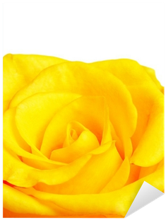 Garden Roses (400x400), Png Download