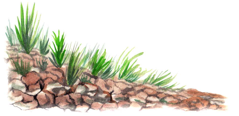Hand Drawn Landscape Cartoon Transparent Watercolor - Watercolor Painting (1024x819), Png Download
