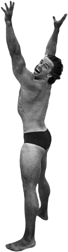 Cutout - Arnold Schwarzenegger Gif Transparent (750x1136), Png Download