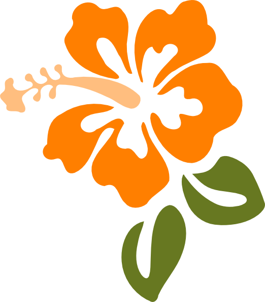 Hibiscus Clip Art (522x594), Png Download