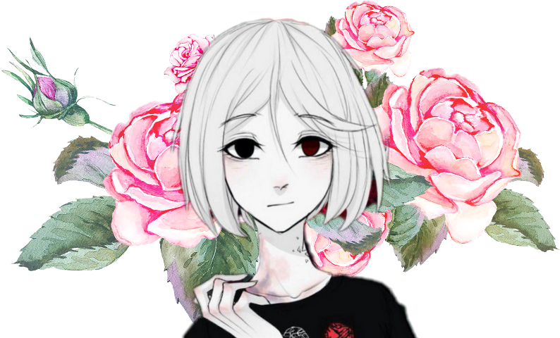 Feathers Appear Angels Are Near: Feather Journal/notebook/diary (794x480), Png Download