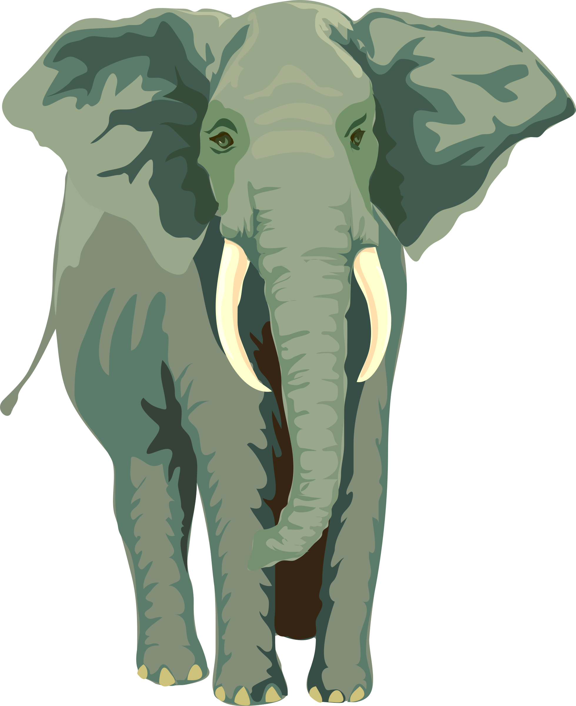 Free Vector Elephant Clip Art - African Elephant Shower Curtain (486x595), Png Download
