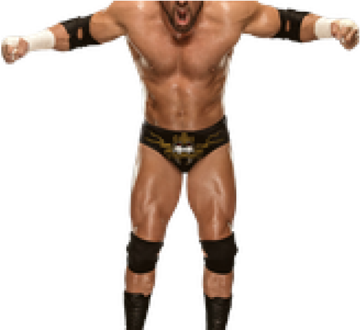Lady Gaga Png Transparent Images - Catcheur Wwe Triple H (640x480), Png Download