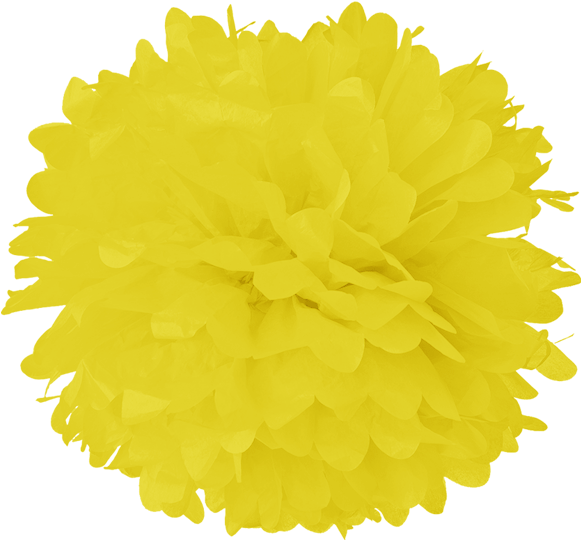Process Yellow Tissue Pom Poms - Turquoise Blue 20 Inch Tissue Paper Flower Pom-pom (600x582), Png Download