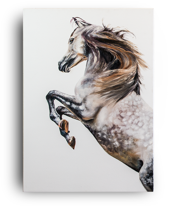 The Unique Bond Between Owner And Horse Captured On - Horse (579x705), Png Download