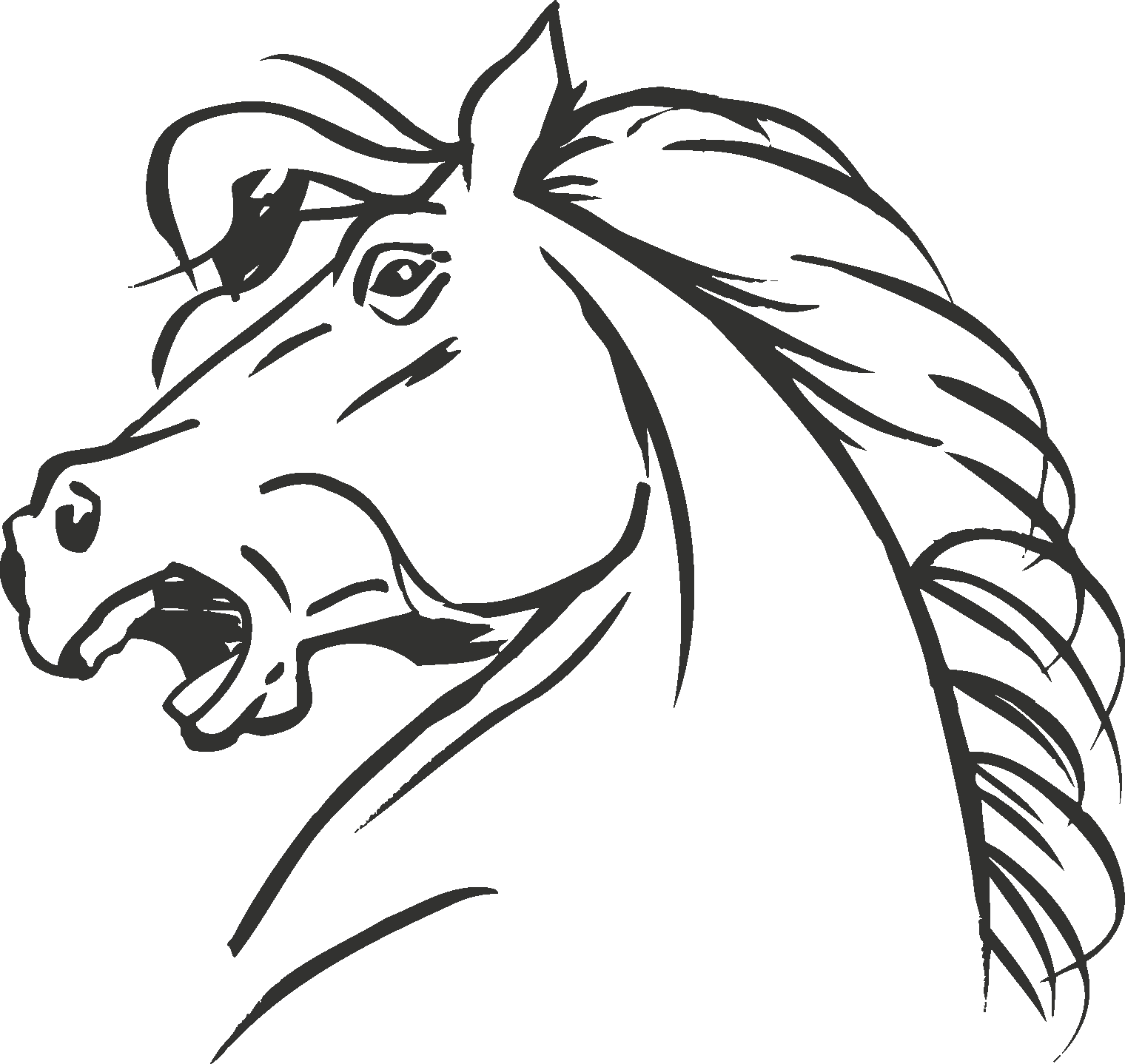 Peruvian Paso Standardbred Coloring Book Horse Head - Cabezas De Caballos Para Dibujar (1520x1438), Png Download