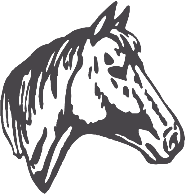Horse Head Silhouette (600x626), Png Download