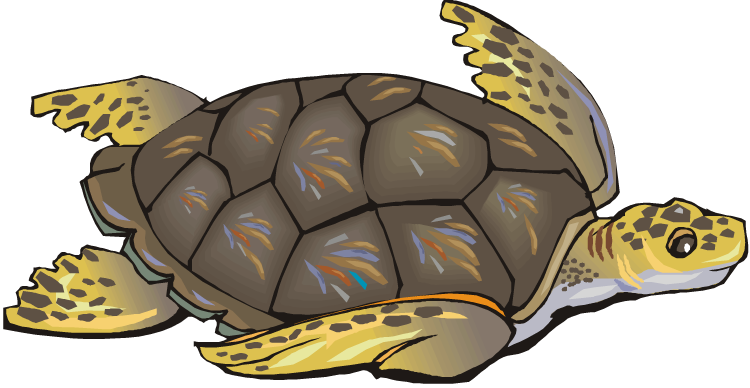 Sea Clip Art Free - Protect Sea Turtles Shower Curtain (750x388), Png Download
