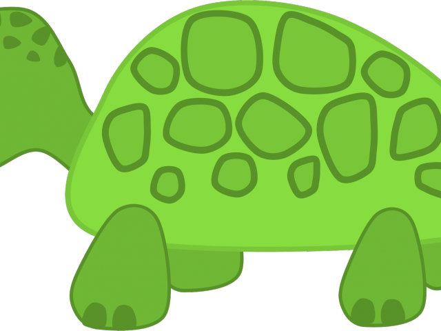Cute Turtle Clipart - Turtle Clip Art Transparent (640x480), Png Download