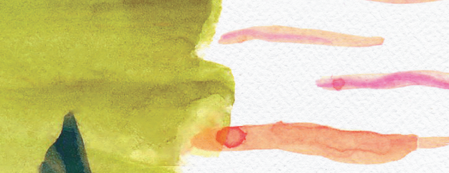 Macro Photography (650x250), Png Download