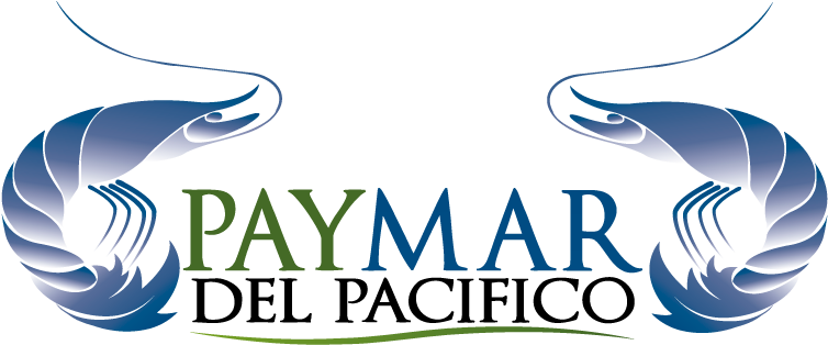 Logo Logo Logo Logo Logo (850x850), Png Download