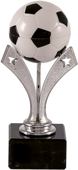 Trofeo Png (555x555), Png Download